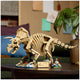 LEGO Jurassic World Dinosaur Fossils Triceratops Building Set 1154 Pieces 77985 — image 8