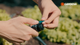 Gardena Micro Irrigation Spray Nozzle 180° - 5 Pack - 2.75 m Range - Black/Turquoise