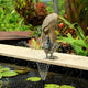 Aquapro Solar Pump AP300SP 310L/H 3.5W Efficient Fountain Kit