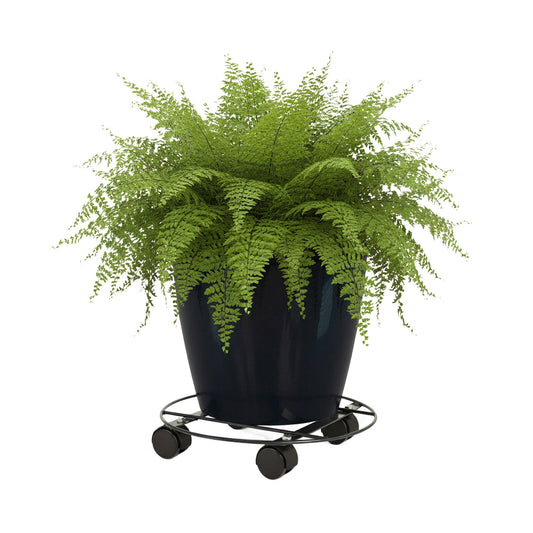 Eden Pot Plant Trolley - 35cm - Metal - Heavy Duty with Brake