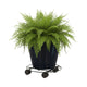 Eden Pot Plant Trolley - 35cm - Metal - Heavy Duty with Brake