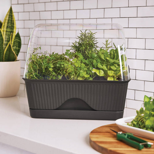 Backyard Farmer Grey Lula Mini Greenhouse - 392mm x 347mm x 239mm - Indoor/Outdoor Use – view 2 - Auzzistore