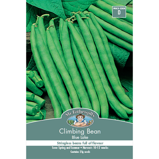 Mr Fothergill Climbing Bean - 240cm - Seeds - Heavy Crop - Auzzistore