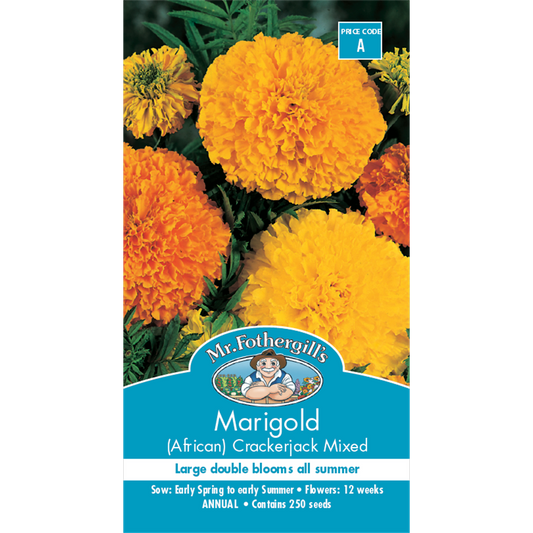 Mr Fothergill Marigold Crackerjack Seeds 75cm Hardy Bedding Plant - Auzzistore