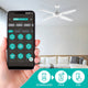Arlec Smart Ceiling Fan - 130cm - ABS Plastic - Wi-Fi Control