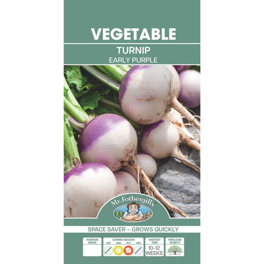 Mr Fothergill Early Purple Turnip Seeds - 1250 Seeds - Quick Growth - Auzzistore