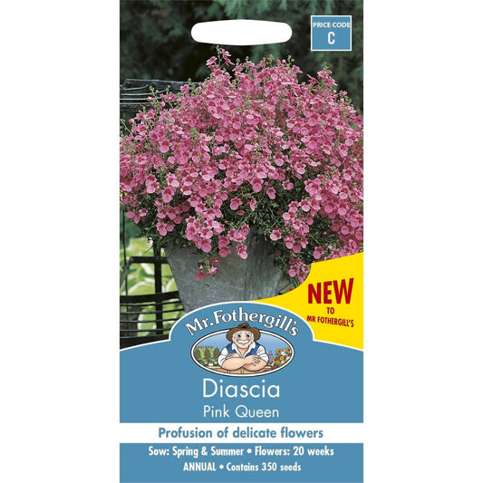 Mr Fothergill Diascia - 350 Seeds - Seed - Pink Trailing Flowers - Auzzistore