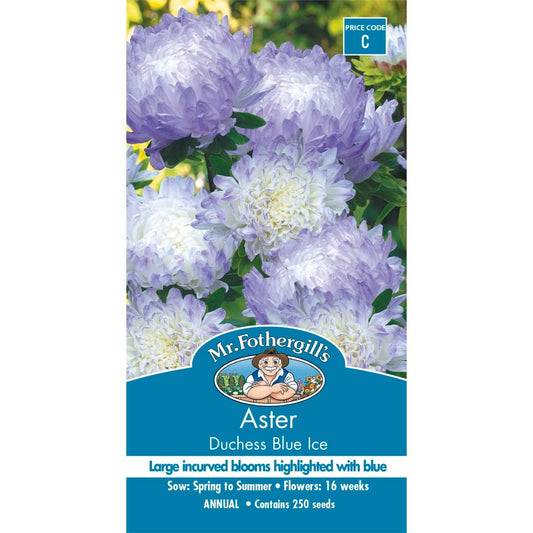 Mr Fothergill Aster Dutchess Blue Ice Seeds - 75mm - Easy To Grow - Auzzistore