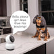 Swann Evo 2K Indoor Pan Tilt Camera - 355° Pan - Night Vision - Two-Way Audio