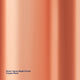 Dulux Spray Paint 300g Bright Finish Copper Rose - Fast Drying - Self-Priming