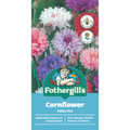 Mr Fothergill Cornflower Seeds - 30-45cm - Dwarf - Easy To Grow