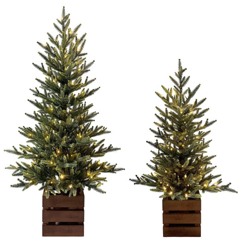 CGH Pre-Lit Pine Trees 2 Piece Set 1.2m and 0.9m with Warm White LED Twinkle Lights and Timer