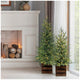 CGH Pre-Lit Pine Trees 2 Piece Set 1.2m and 0.9m with Warm White LED Twinkle Lights and Timer — image 5