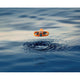 HoverAir AQUA 4K Waterproof Self Flying Drone 128GB Basic Combo Orange SP08H006 — image 7