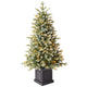 Pre-Lit Glitter Frosted Potted Christmas Tree 1.3m with 200 Colour Changing Micro LEDs and Remote — image 5
