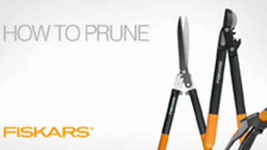 Fiskars Bypass Pruner Ruby - 22mm Carbon Steel Blades - Comfortable Grip – view 2 - Auzzistore