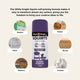 White Knight Squirts Purple Gloss Spray Paint 310g Solvent Based Durable