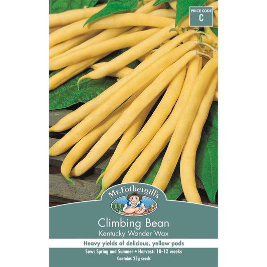 Mr Fothergill Climbing Bean - 15-20cm - Seeds - Heirloom Variety - Auzzistore