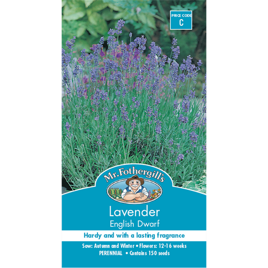 Mr Fothergill's Dwarf Lavender Flower Seeds - 75mm - Hardy - Fragrant