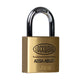 Lockwood 30mm Padlock 2 Pack - Heavy Duty Brass - High Security