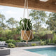 Eden 110cm Cotton Macrame Hanger - Hand-Woven Plant Display with Tassels