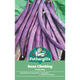 Mr Fothergill Climbing Bean - 240cm - Seed - Purple Variety