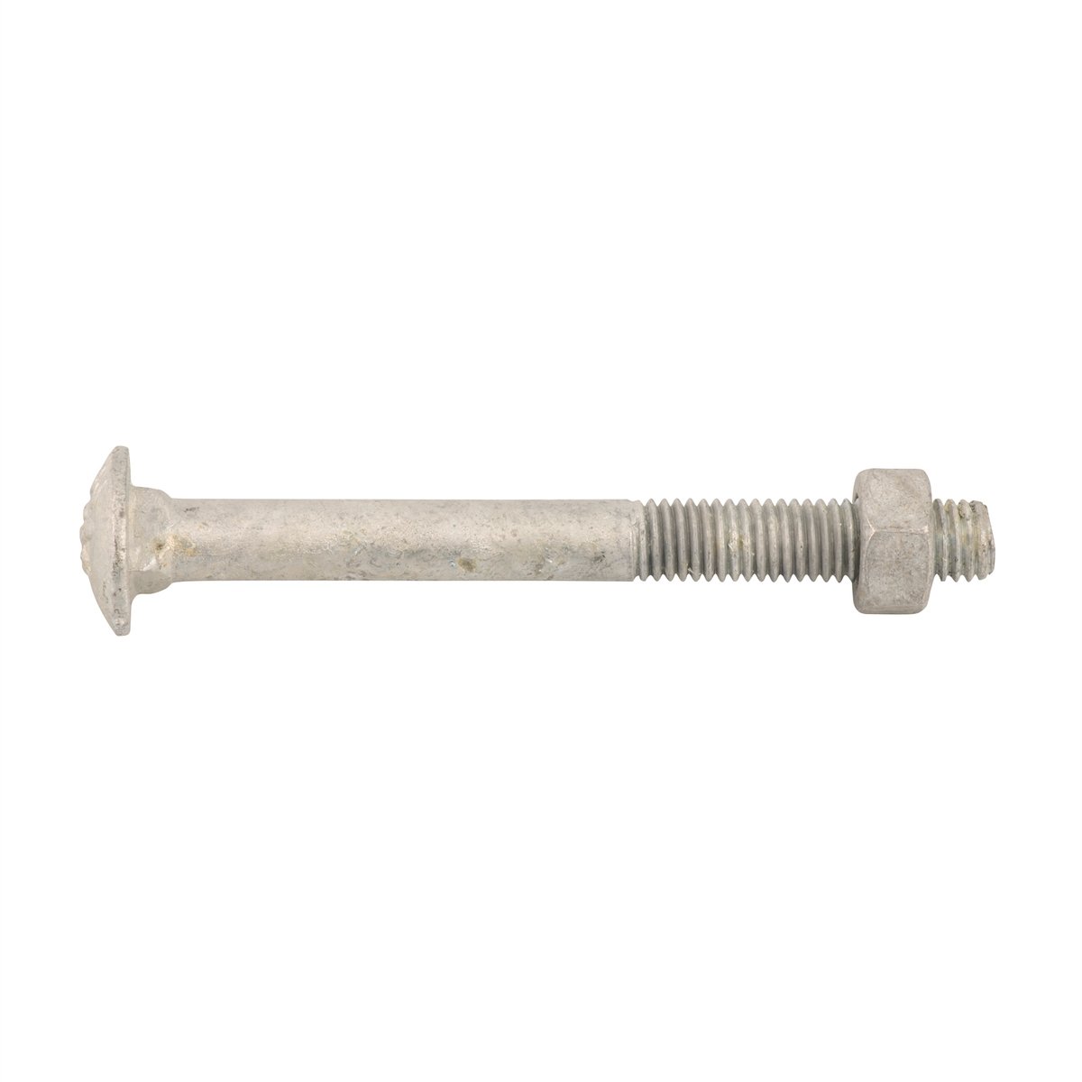 Zenith Hot Dip Galvanised Cup Head Bolts Nuts M10 x 100mm 25 Pack