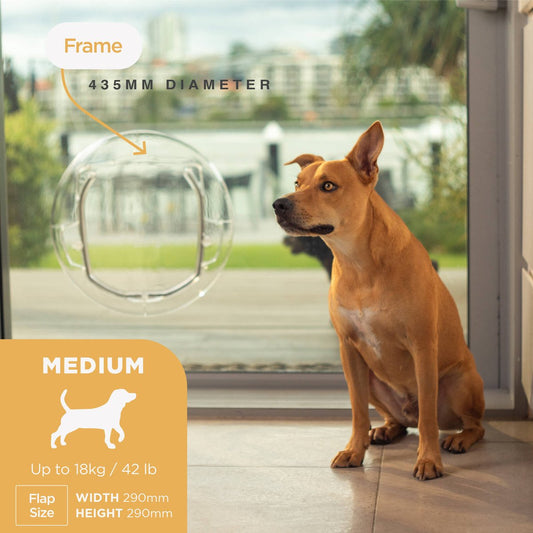 Hakuna Pets Medium Ultra Clear Pet Door - 290mm Flap - Durable - Weatherproof – view 2 - Auzzistore