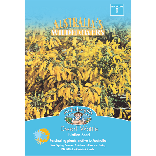 Mr Fothergill Dwarf Wattle Flower Seeds 100cm Seed Long Lasting