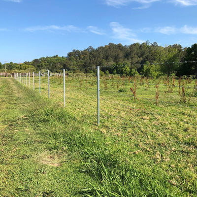 Jack Barbed Wire 1.57mm x 30m Galvanised Steel Long Life