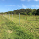 Jack Barbed Wire 1.57mm x 30m Galvanised Steel Long Life