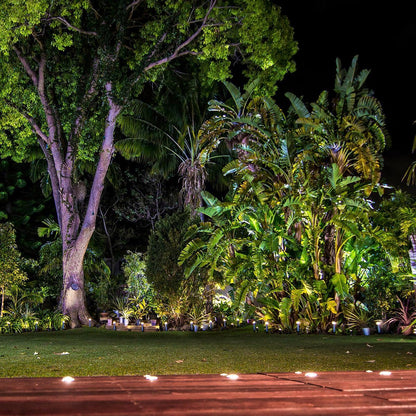 Holman 45mm Warm White Deck Light 6 Pack Stainless Steel Waterproof