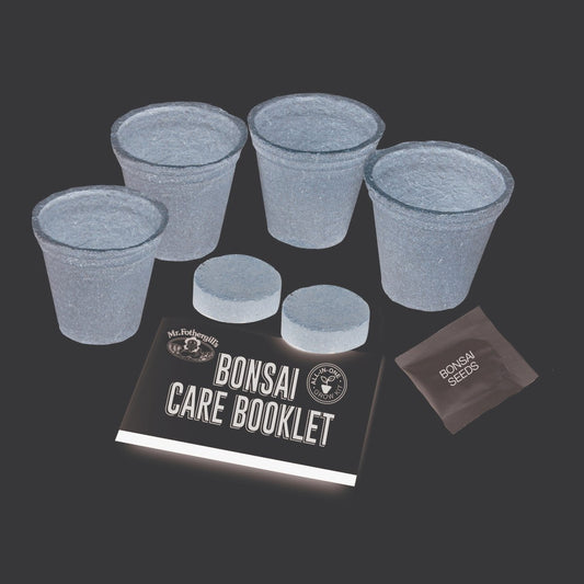 Mr Fothergill Maple Bonsai Kit - Complete Starter Kit - 4 Pots - 90mm x 130mm – view 2 - Auzzistore