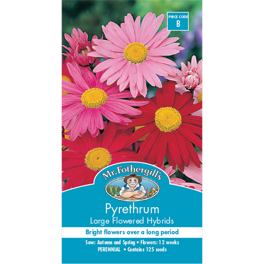 Mr Fothergill Pyrethrum Large Flower Seeds 60cm Perennial Cut Flower - Auzzistore