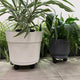 Jack Heavy Duty Extendable Pot Mover - 100kg Steel - Grey Finish