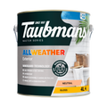 Taubmans 4L Neutral Gloss All Weather Exterior Paint - Mould Resistant - Fast Drying