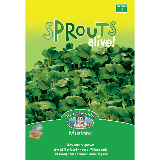 Mr Fothergills Mustard Seeds 110mm Seeds High Vitamin Sprouts - Auzzistore
