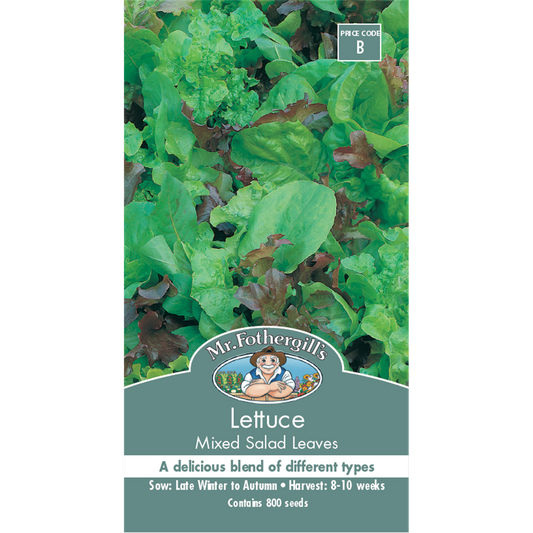 Mr Fothergill Lettuce Mixed Salad Leaves Seeds 75mm Green Healthy - Auzzistore