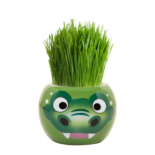Mr Fothergill Crocodile Grass Hair Kit - 60mm - Ryegrass - Fun Growth – view 2 - Auzzistore