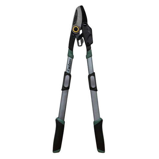 Cyclone Bypass Ratchet Lopper - Telescopic Aluminium - 93cm Reach - Auzzistore