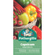 Mr Fothergill Sweet Capsicum Vegetable Seeds - 75mm - Seed - Vitamin C