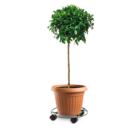 Eden Pot Plant Trolley - 30cm - Metal - Heavy Duty – view 2