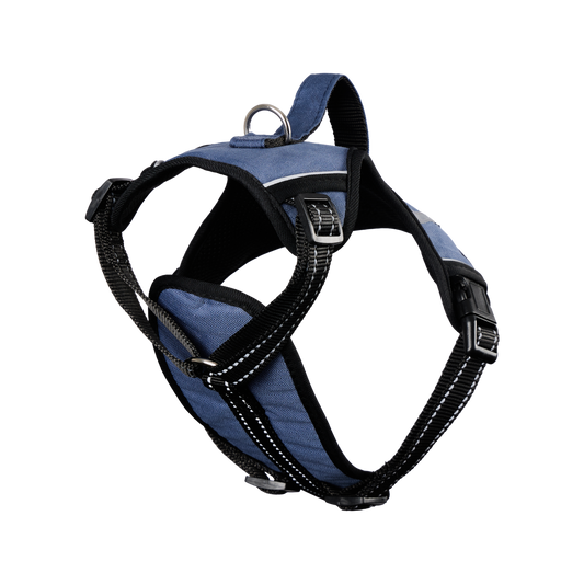 Happy Tails Medium Explorer Dog Harness - Adjustable 56cm-69cm - Reflective Stripes - Soft Grip Handle - Extra Thick Padding