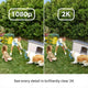 Ring Outdoor Camera Plus 2K - Outdoor Surveillance Camera - 1 Pack - Black - 67mm x 128mm - Low-Light Sight - Live View