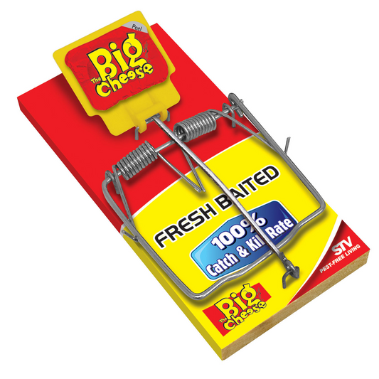 The Big Cheese Rat Trap - Fresh Baited - 84mm - Quick Catch - Auzzistore