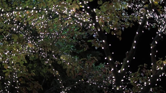 Lytworx Low Voltage Fairy Lights 1200 Pack - 59.9m - White – view 2