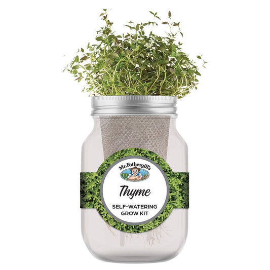 Mr Fothergill Thyme Self Watering Mason Jar Grow Kit - 90mm x 172mm - Grey – view 2 - Auzzistore