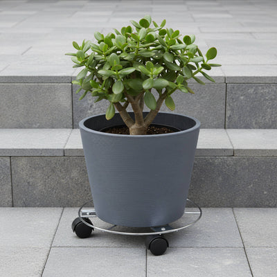 Eden Pot Plant Trolley - 25cm - Wire - Safety Locking Brake