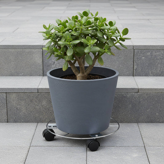 Eden Pot Plant Trolley - 25cm - Wire - Safety Locking Brake