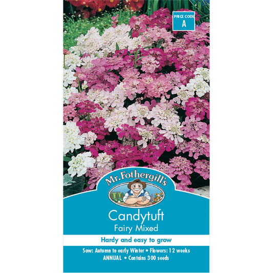 Mr Fothergill Candytuft Fairy Mixed Flower Seeds 75mm Easy Grow - Auzzistore